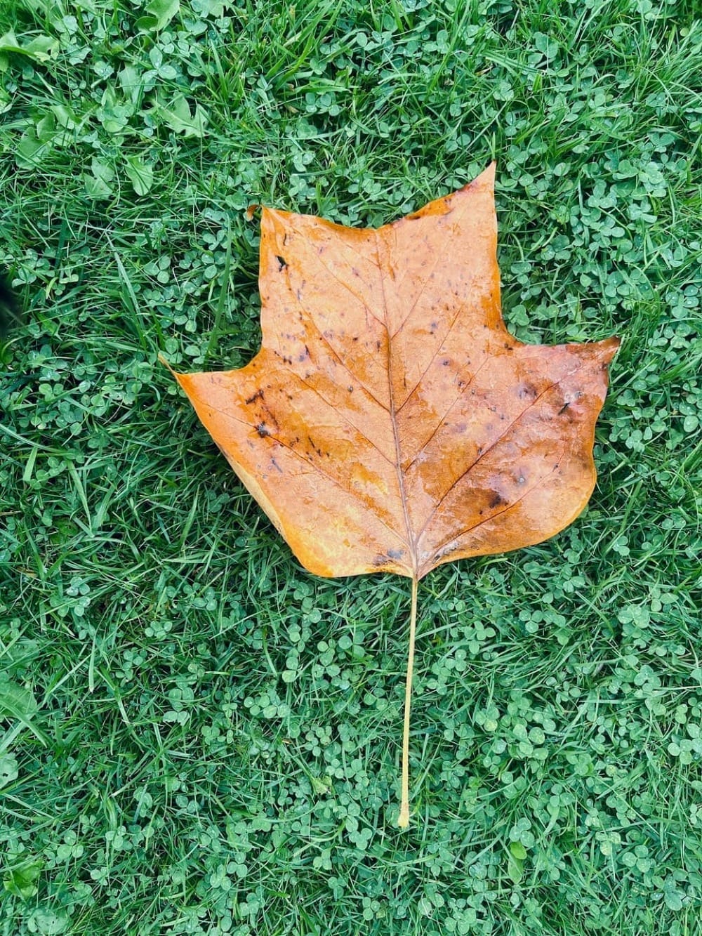 Messages from the Ground